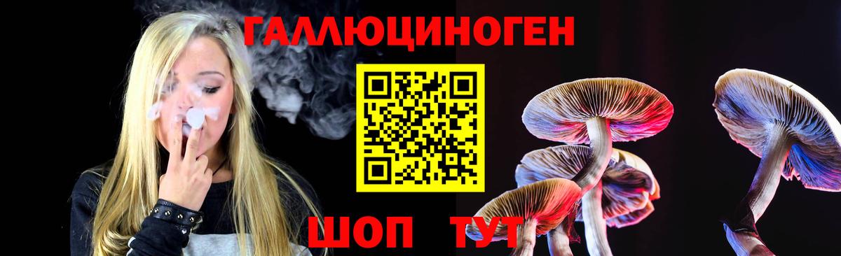 Псилоцибиновые грибы Cubensis  где можно купить наркотик  Долгопрудный  Вход с VPN 